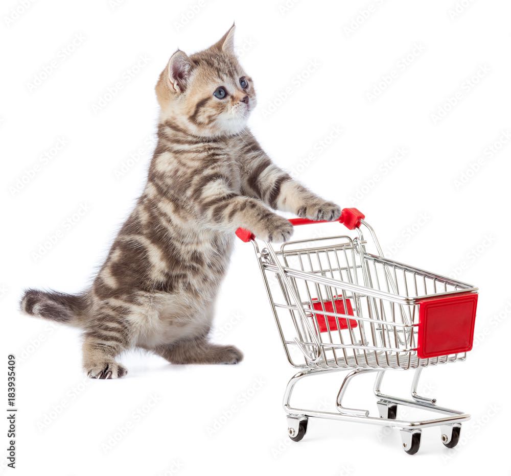 （分類：）位於 。 由 cathung 提交（商品編號 1364521388，圖片 1）。簡介： 。