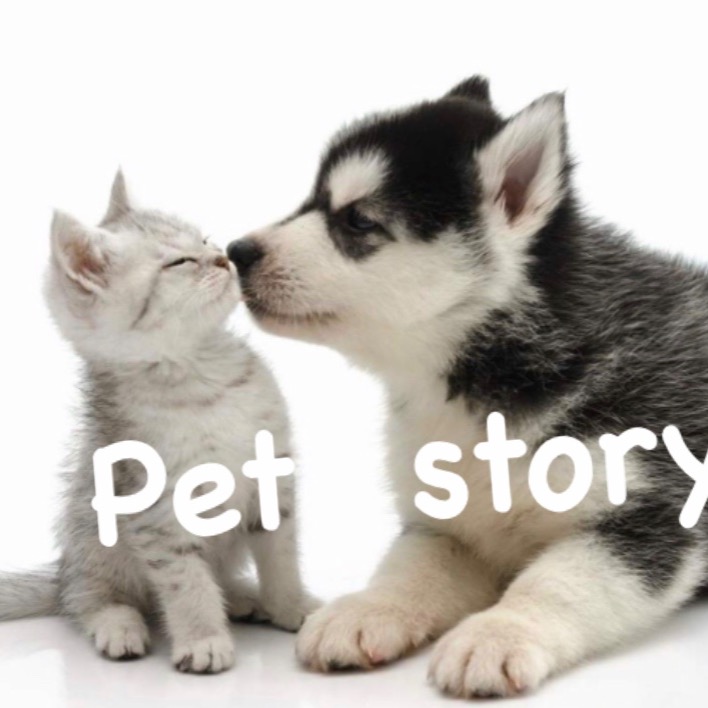 （分類：）位於 。 由 Pet_story 提交（商品編號 1237210732，圖片 1）。簡介： 。