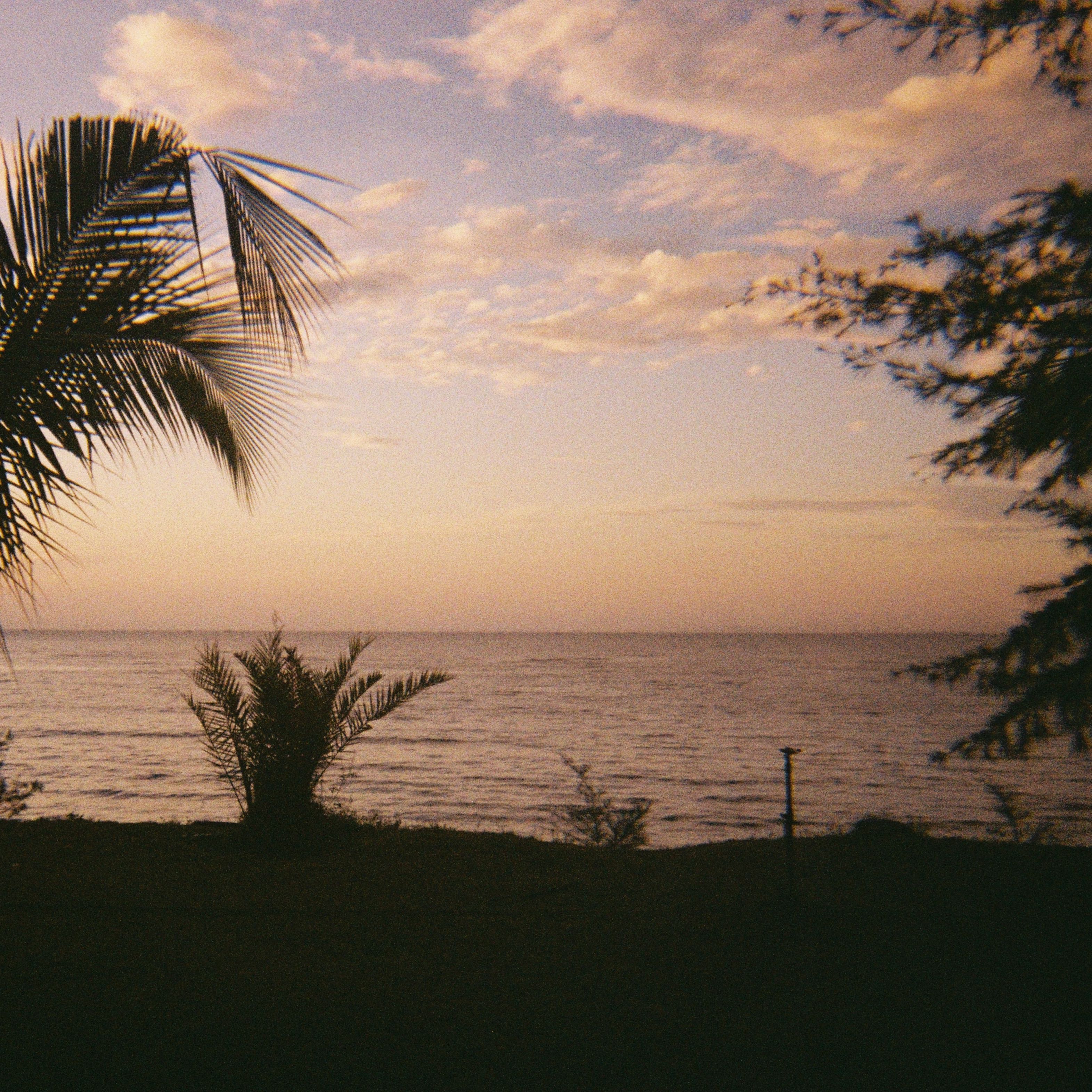 (Category: ) located in . Submitted by _ntsha (Listing ID 1382375747, Image 1). Description: .