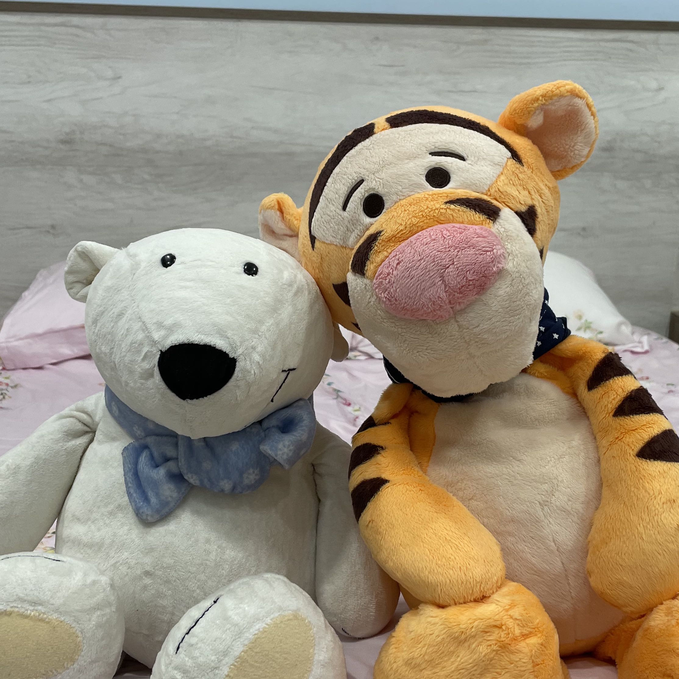由 valentines_1031 (刊登 ID 1466323769,圖片 1) 提交,位於 的 (類別:),說明:。