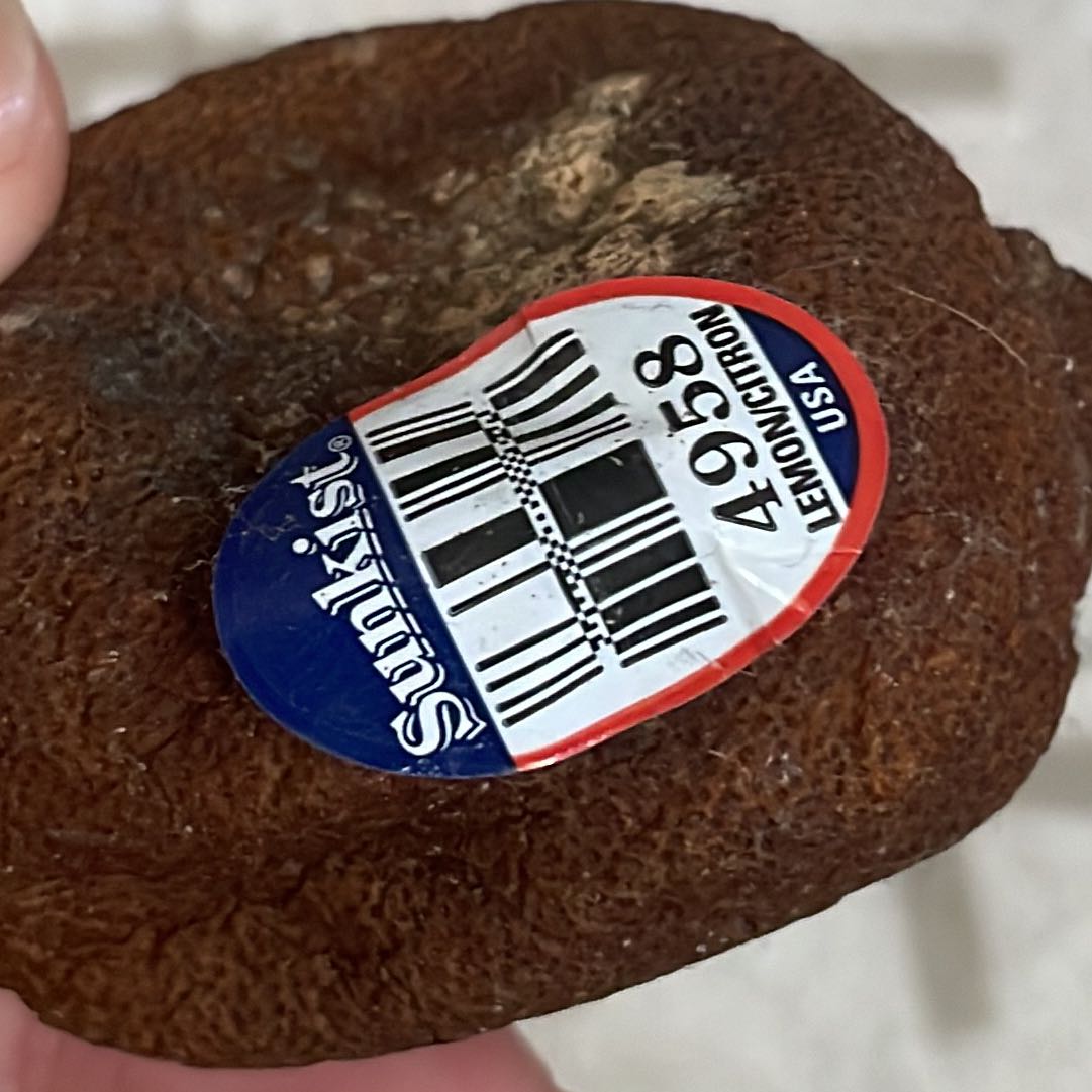 (分類:)位於 。 由 ngjjjj 提交(商品編號 1452666735,圖片 1)。簡介: 。