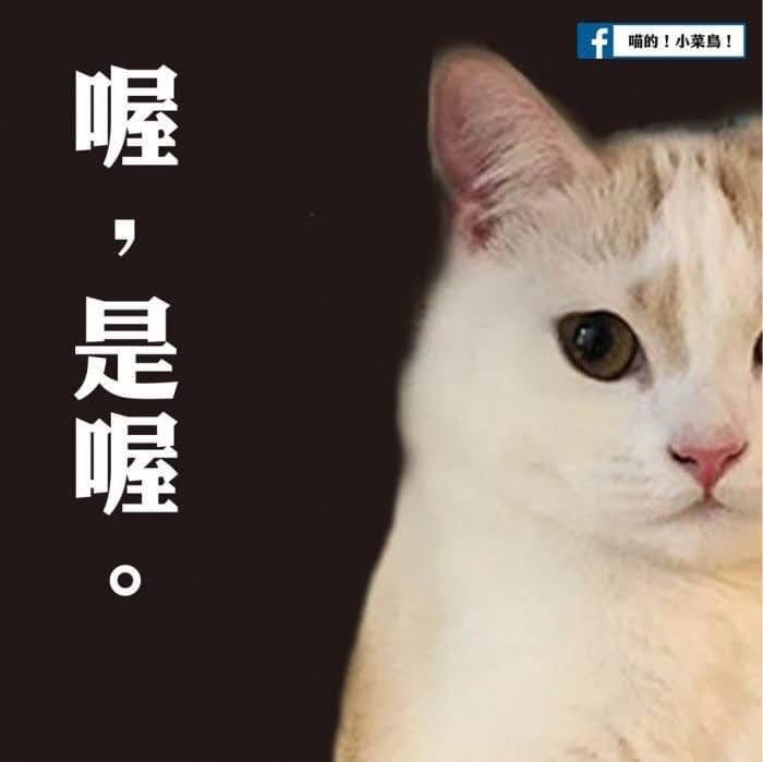 由 kkkkk_300 (刊登 ID 1383634477，圖片 1) 提交，位於 的 (類別：)，說明：。
