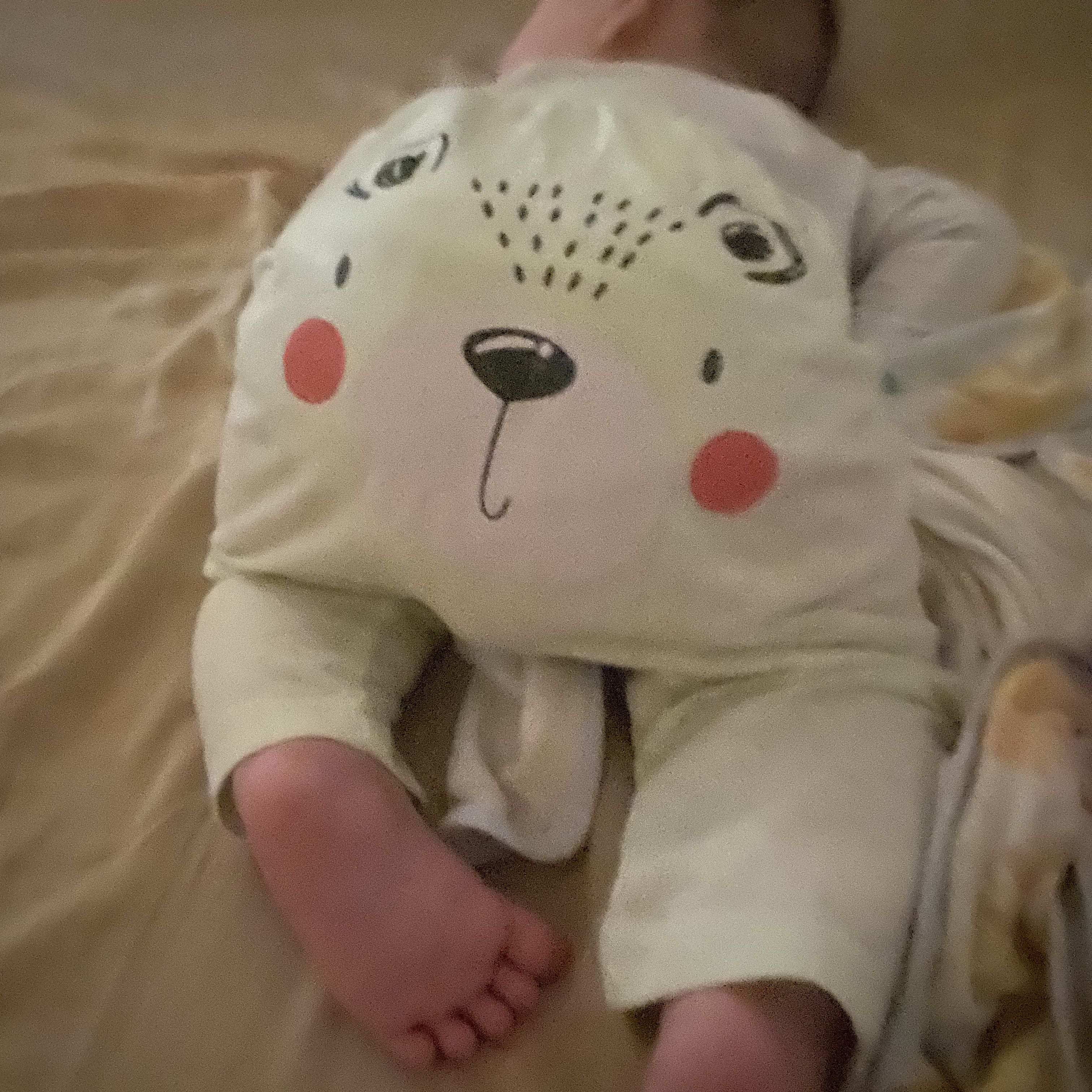 由 wulalalawuwu (刊登 ID 1386127318，圖片 1) 提交，位於 的 (類別：)，說明：。
