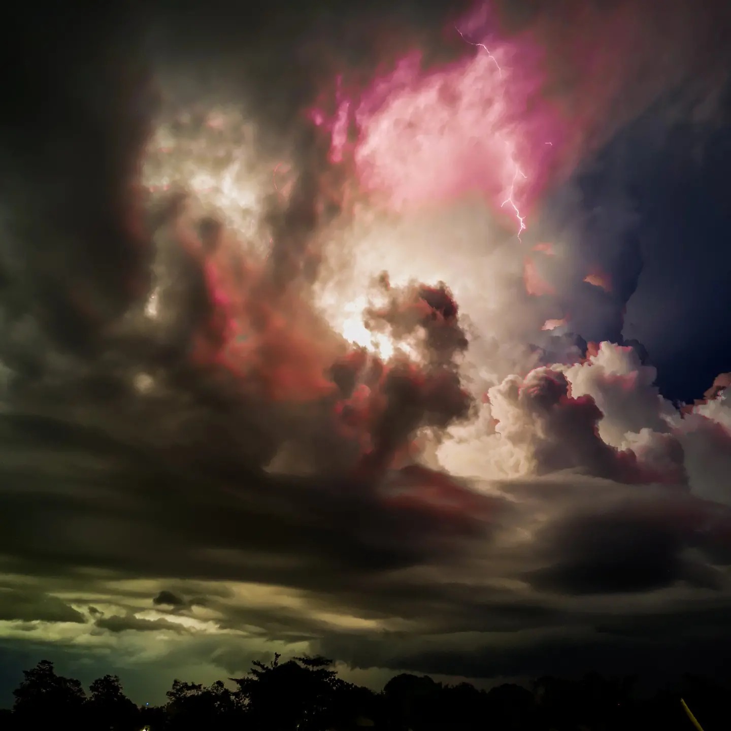 (Category: ) located in . Submitted by jatel (Listing ID 1281725823, Image 1). Description: .