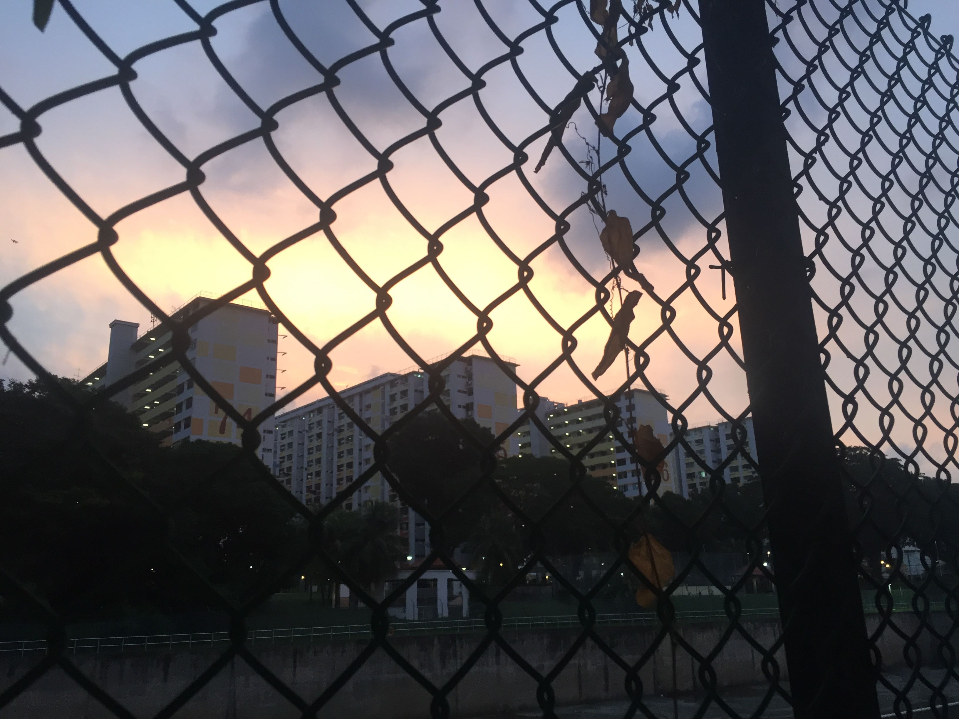 (Category: ) located in . Submitted by m477hew (Listing ID 1378948019, Image 1). Description: .