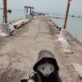 (Kategori: ) berada di . Dikirim oleh lapaktikapinkhana (ID iklan 1272286914, Gambar 1). Deskripsi: .