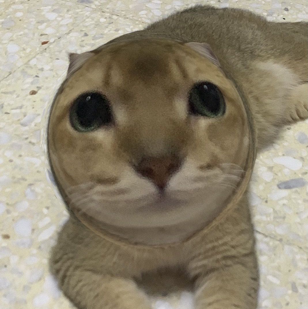 (Category: ) located in . Submitted by tomyum25 (Listing ID 1349277647, Image 1). Description: .