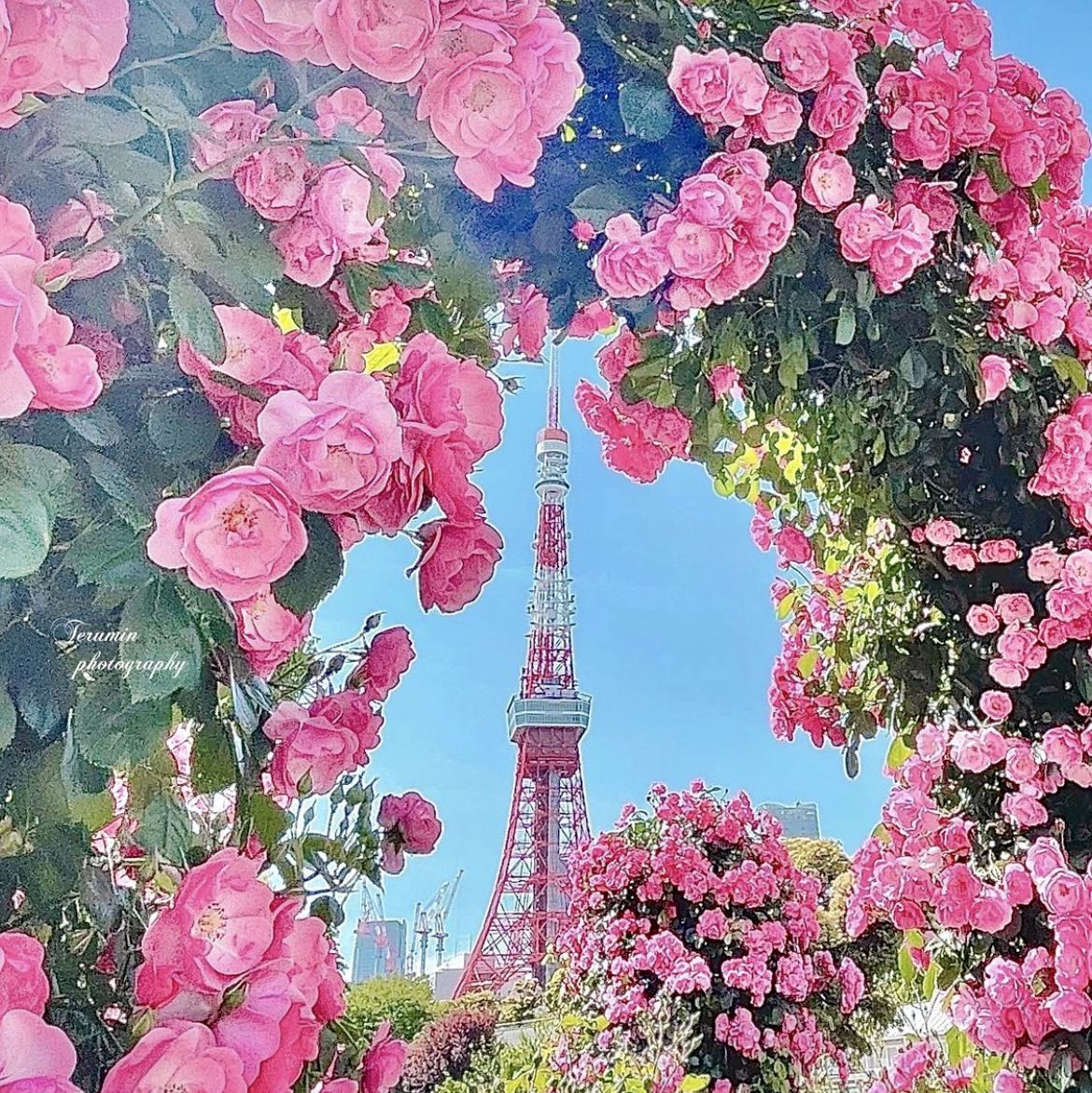 （分類：）位於 。 由 Ning.ning2020 提交（商品編號 1215602798，圖片 1）。簡介： 。