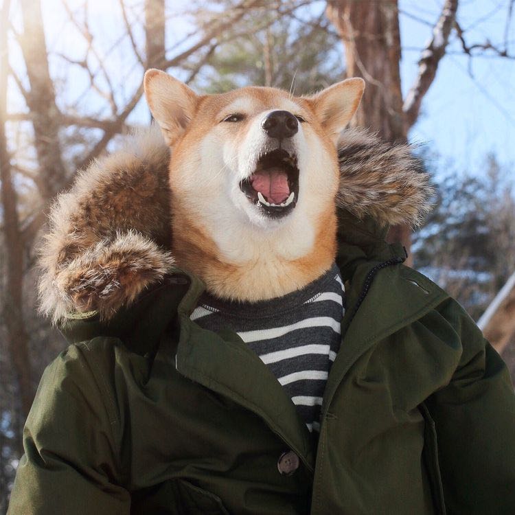 頭像