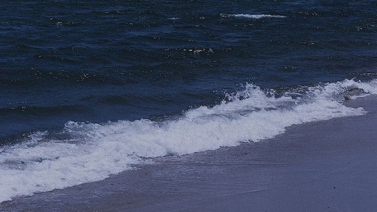 (Category: ) located in . Submitted by thankusm (Listing ID 1290693140, Image 1). Description: .