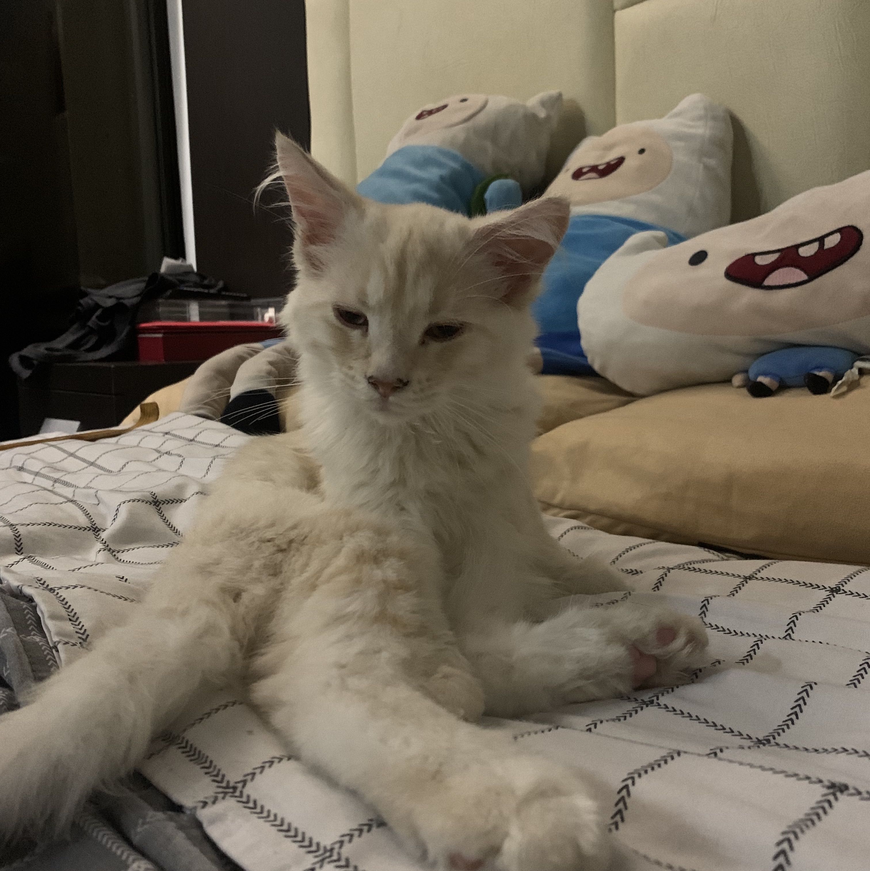 Avatar