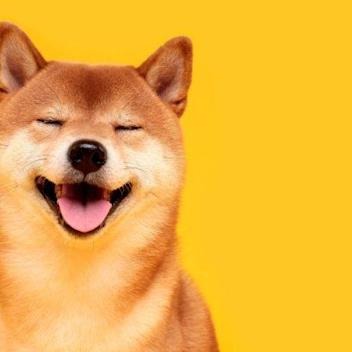 由 paperbeeell (刊登 ID 1380225197，圖片 1) 提交，位於 的 (類別：)，說明：。