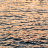 （分類：）位於 。 由 whitewhale99 提交（商品編號 1316083604，圖片 1）。簡介： 。
