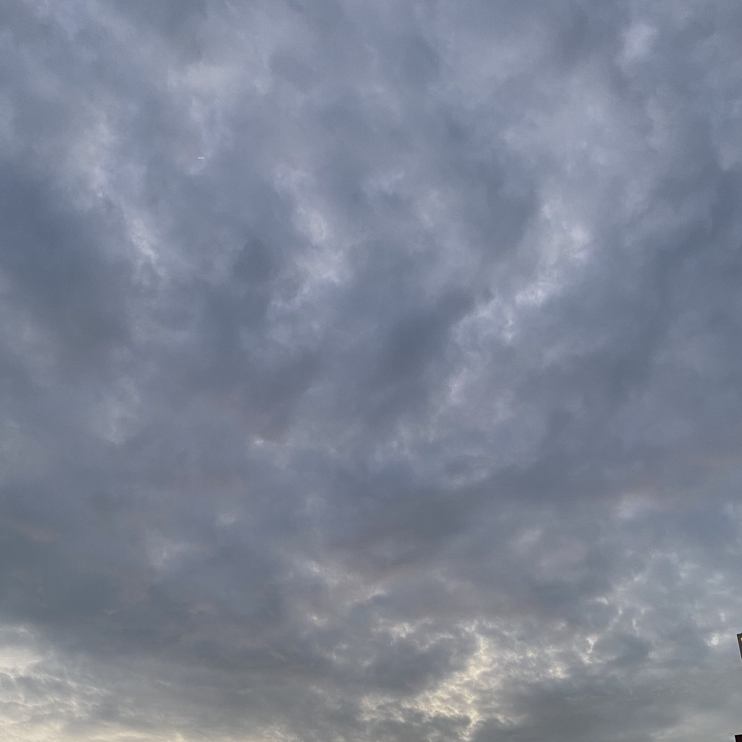 Kate Spade Nude Bag, Women's Fashion, Bags & Wallets, Tote Bags on Carousell