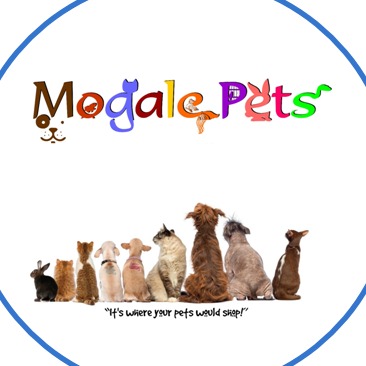 (Category: ) located in . Submitted by Mogalepets (Listing ID 1233018063, Image 1). Description: .