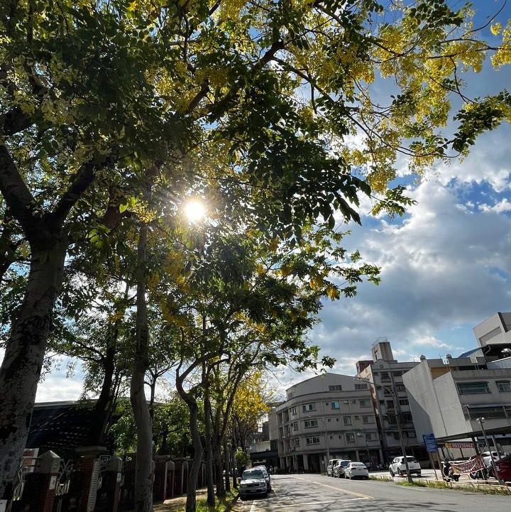 由 bryant728 (刊登 ID 1384373159，圖片 1) 提交，位於 的 (類別：)，說明：。