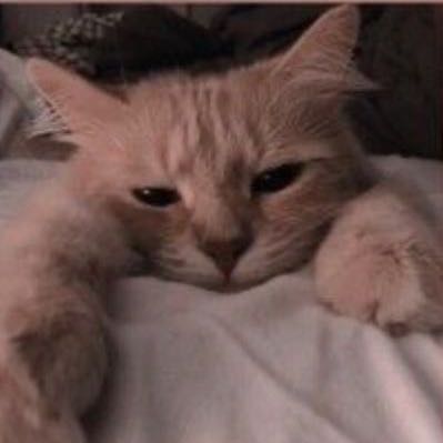 （分類：）位於 。 由 sinkristina5 提交（商品編號 1303022727，圖片 1）。簡介： 。