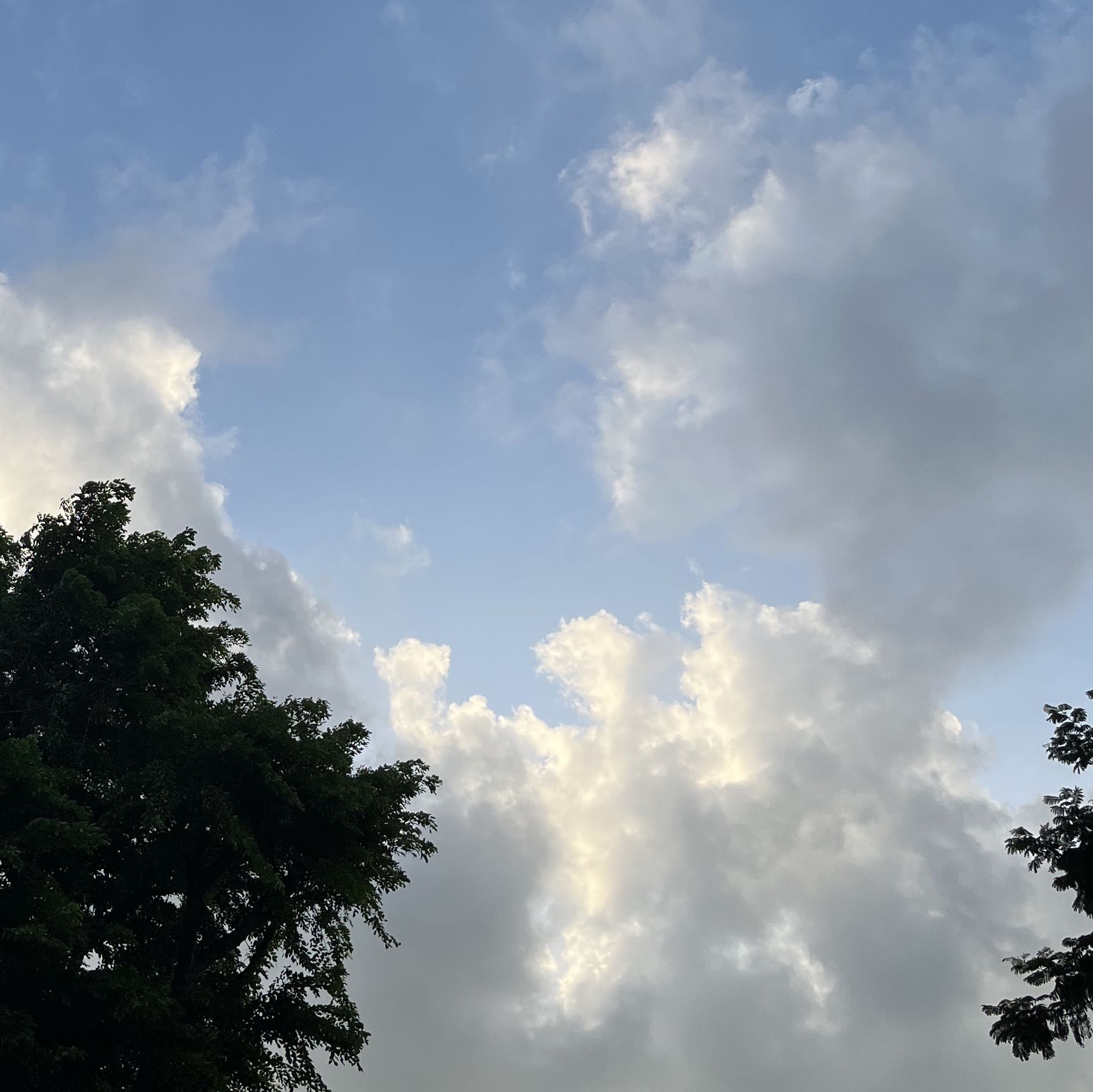 (Category: ) located in . Submitted by desiredsh (Listing ID 1364217825, Image 1). Description: .