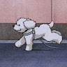 (Category: ) located in . Submitted by chingzhe (Listing ID 1456189426, Image 1). Description: .