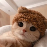 (Category: ) located in . Submitted by coding_ghost (Listing ID 1384289285, Image 1). Description: .