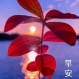(Category: ) located in . Submitted by cindywongsy (Listing ID 1098474984, Image 1). Description: .