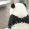 （分類：）位於 。 由 92085999ctc 提交（商品編號 1383866169，圖片 1）。簡介： 。