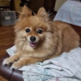(Category: ) located in . Submitted by chinacub (Listing ID 1170266847, Image 1). Description: .