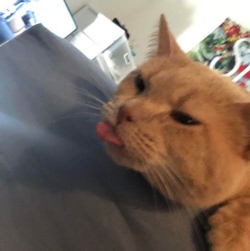 (Category: ) located in . Submitted by kukimonsterrr (Listing ID 1294090589, Image 1). Description: .