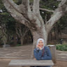(Category: ) located in . Submitted by nad_zyra (Listing ID 1453790501, Image 1). Description: .
