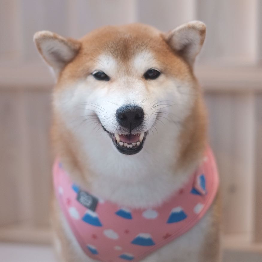 頭像