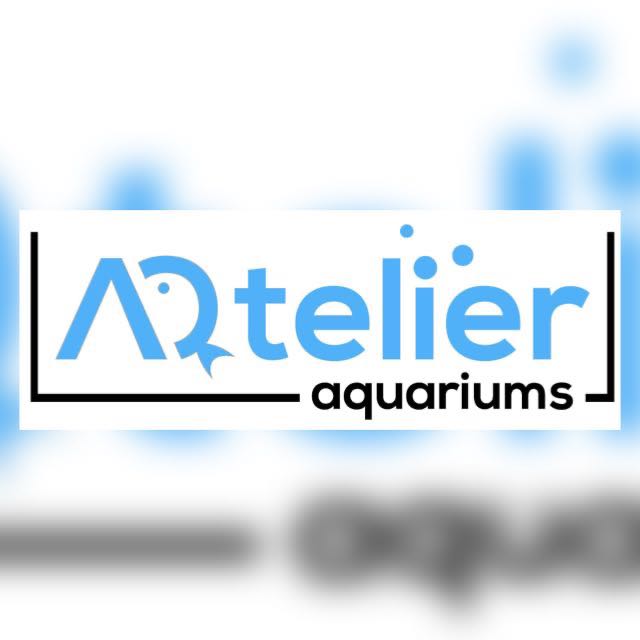 (Category: ) located in . Submitted by AQtelierAquariums (Listing ID 1180935751, Image 1). Description: .