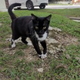 (Category: ) located in . Submitted by prelovedfromaa (Listing ID 1380975026, Image 1). Description: .