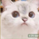 (Category: ) located in . Submitted by mintchoconberry (Listing ID 1383176284, Image 1). Description: .