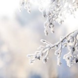 （分類：）位於 。 由 winterfrost88 提交（商品編號 1311343402，圖片 1）。簡介： 。