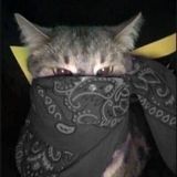 (Category: ) located in . Submitted by nakstopbundle (Listing ID 1414211554, Image 1). Description: .