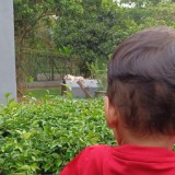 (Kategori: ) berada di . Dikirim oleh vieandd (ID iklan 1385085274, Gambar 1). Deskripsi: .
