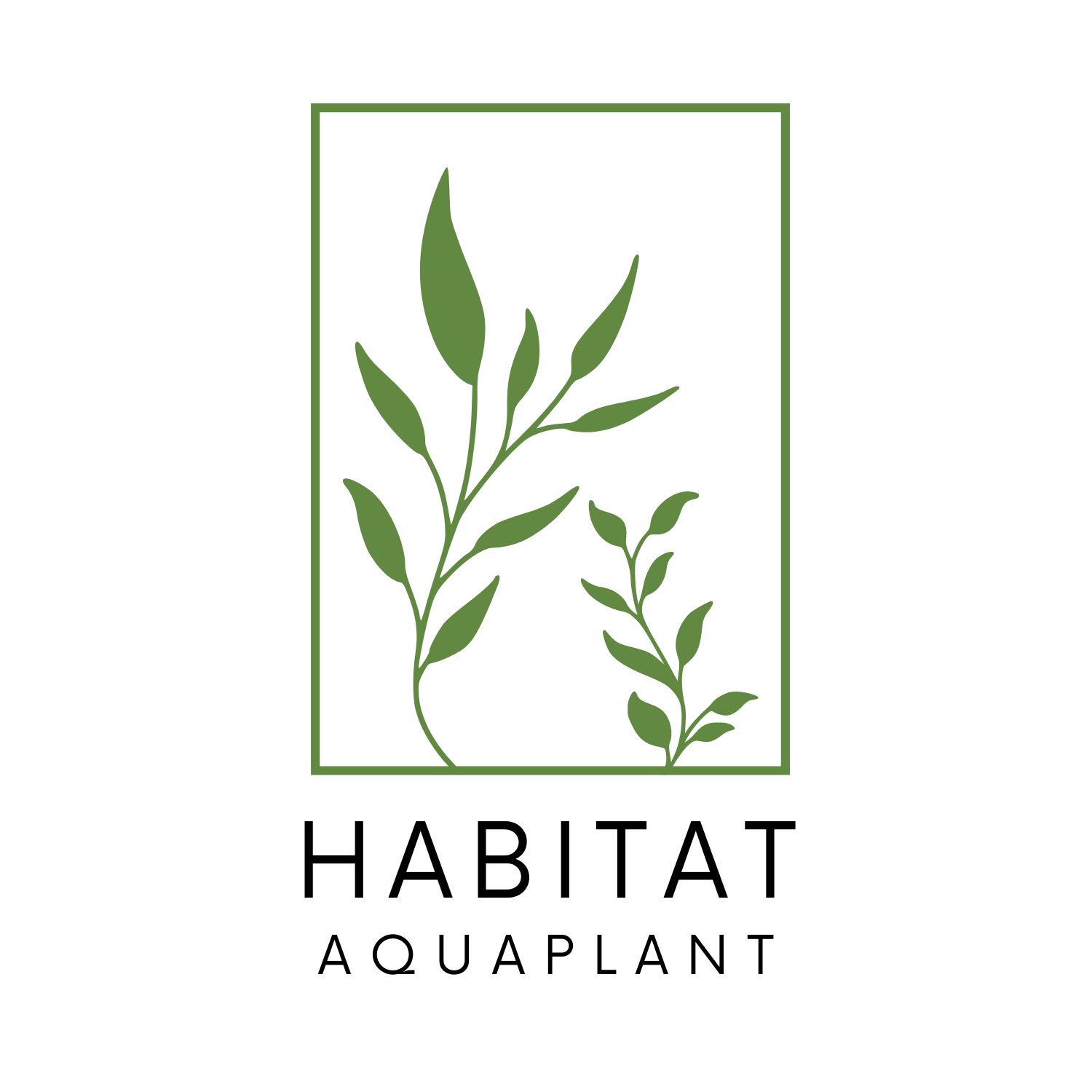 (Category: ) located in . Submitted by habitataquaplant (Listing ID 1262309268, Image 1). Description: .