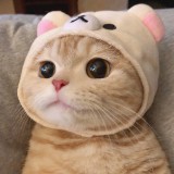 (分類:)位於 。 由 lol_wut 提交(商品編號 1453492495,圖片 1)。簡介: 。