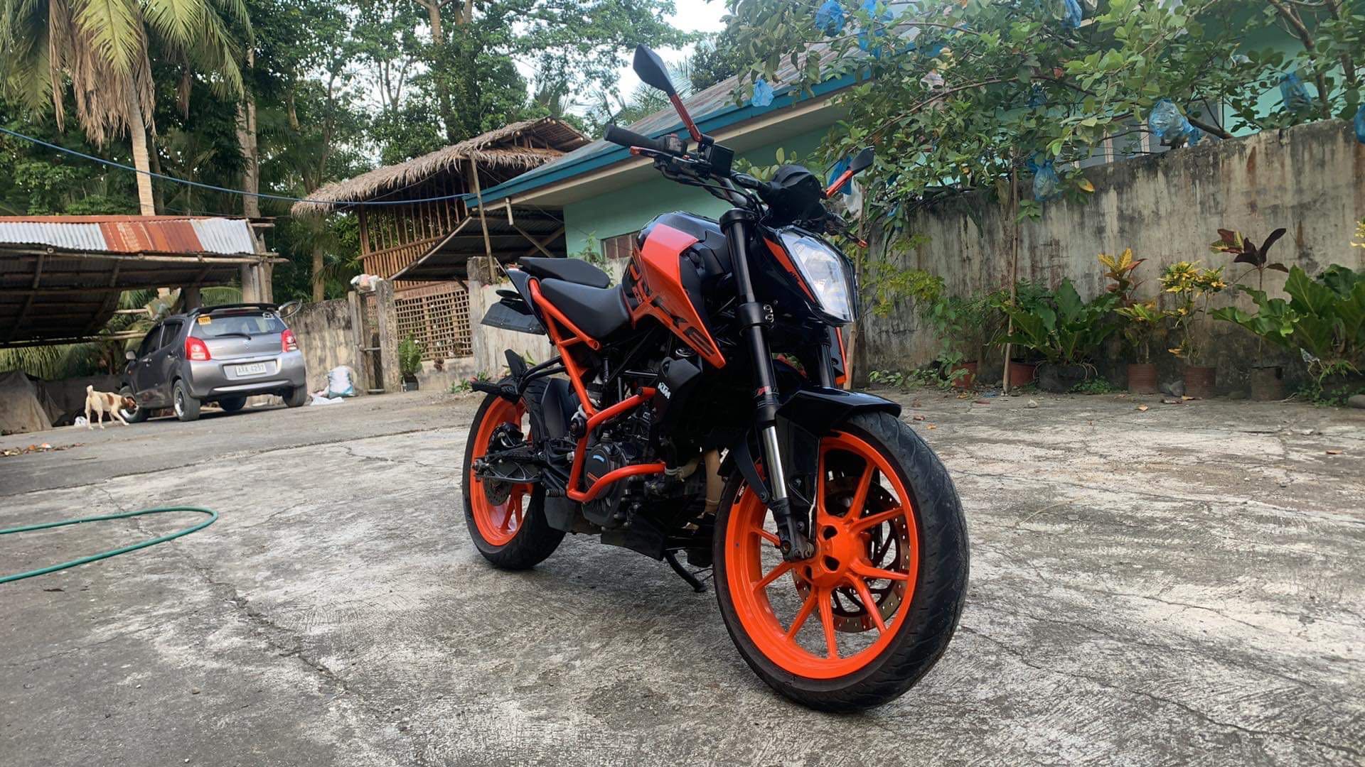 Avatar