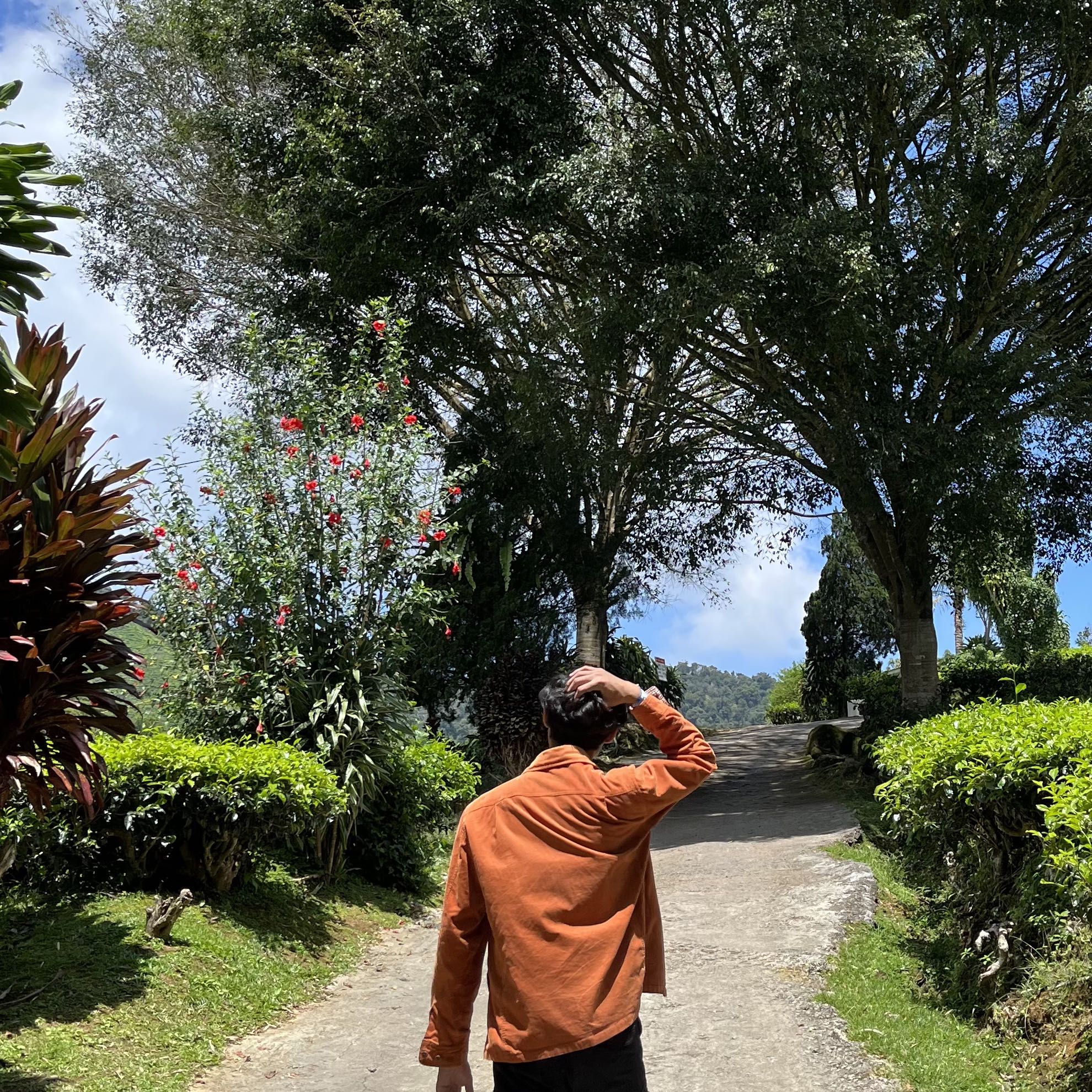 (Category: ) located in . Submitted by syairazi55 (Listing ID 1469092099, Image 1). Description: .