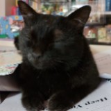 （分類：）位於 。 由 ki.u_ 提交（商品編號 1380548885，圖片 1）。簡介： 。