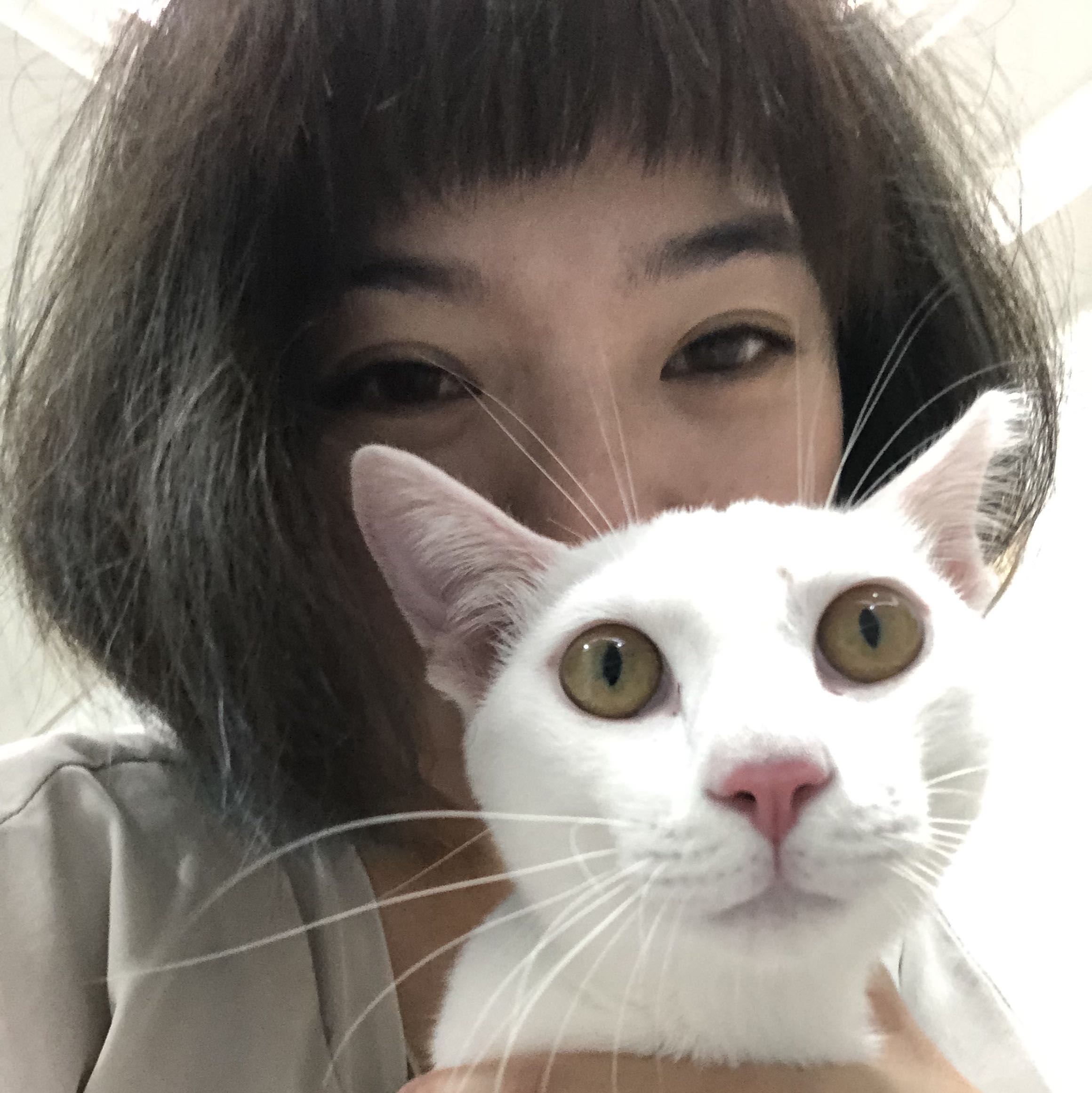 由 wenzi0319 (刊登 ID 1292927614，圖片 1) 提交，位於 的 (類別：)，說明：。