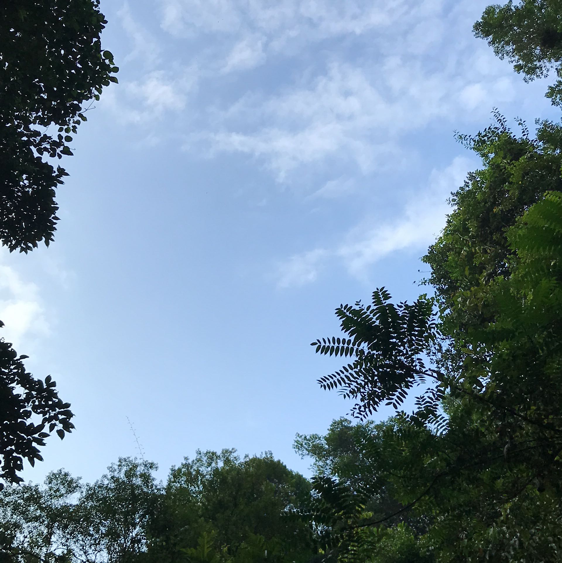 (Category: ) located in . Submitted by gottoletgo (Listing ID 1380973044, Image 1). Description: .