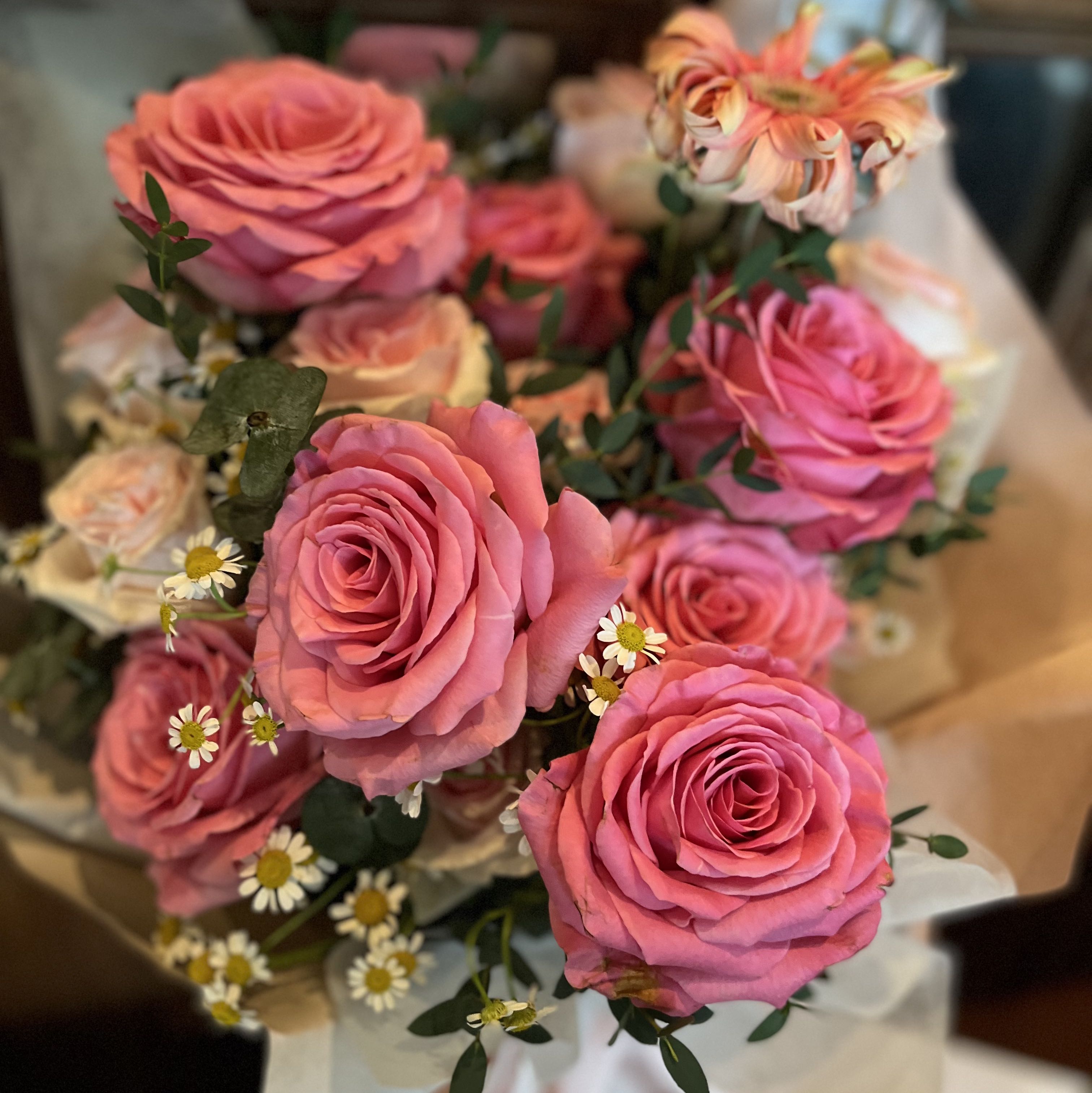 （分類：）位於 。 由 shopping_princesss 提交（商品編號 1355665536，圖片 1）。簡介： 。
