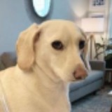 由 shuafei (刊登 ID 1268974553，圖片 1) 提交，位於 的 (類別：)，說明：。