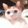 (Category: ) located in . Submitted by juncdan (Listing ID 1367904924, Image 1). Description: .