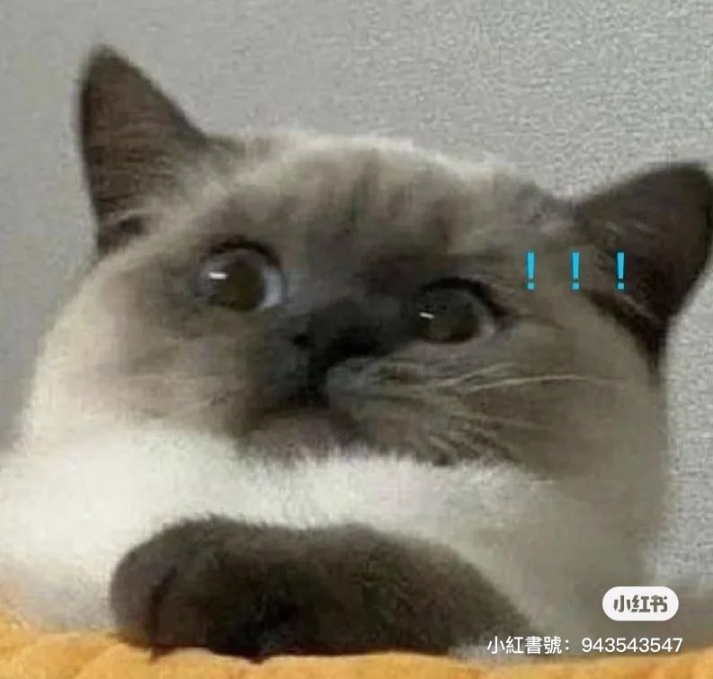 由 carol.5__ (刊登 ID 1384923436，圖片 1) 提交，位於 的 (類別：)，說明：。