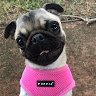 (Category: ) located in . Submitted by aimeemichellekiely-94625 (Listing ID 1372148349, Image 1). Description: .
