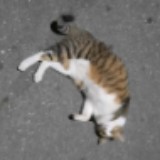 由 _fishball_0 (刊登 ID 1385763255，圖片 1) 提交，位於 的 (類別：)，說明：。