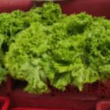 (Kategori: ) berada di . Dikirim oleh drantees (ID iklan 1289467044, Gambar 1). Deskripsi: .